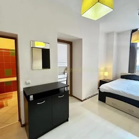 Spacious In The Historic Center Apartment Brasov