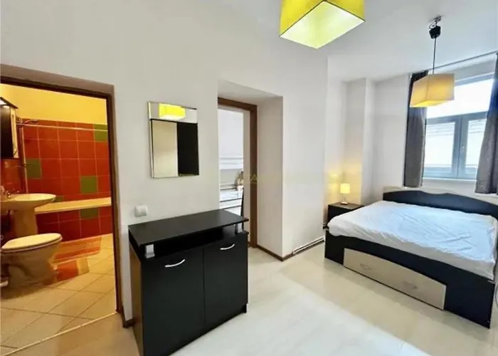 Spacious In The Historic Center Apartment Brasov